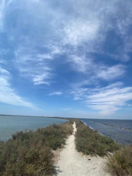 Havre De Paix Avec Jardin Et Clim En Centre Ville De 塞特港 外观 照片